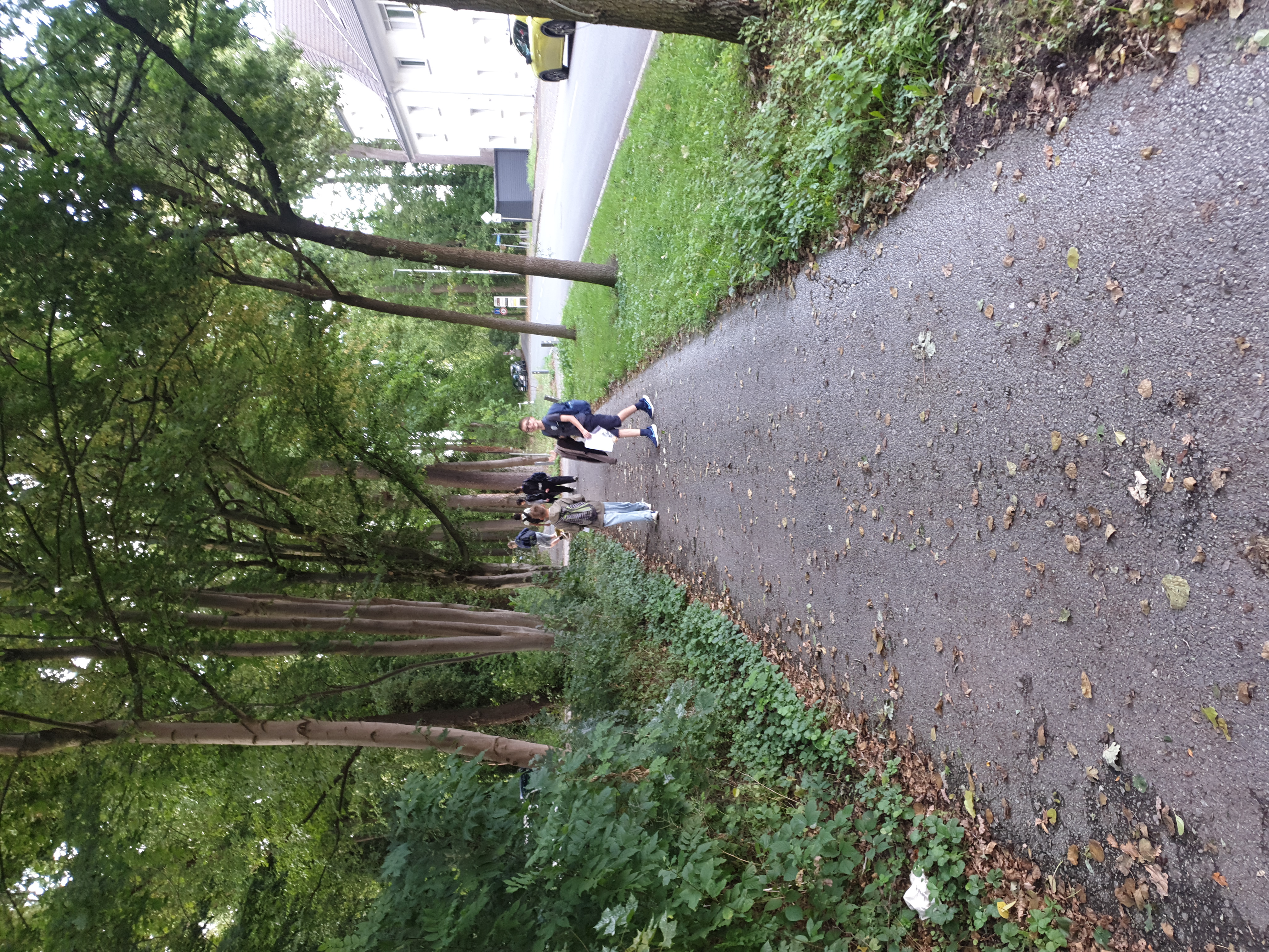 Image 52